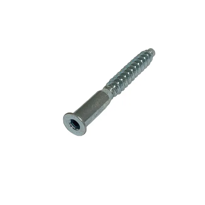 Ersatzteil – Schraube M6 × 60 mit Innensechskant (SW4)