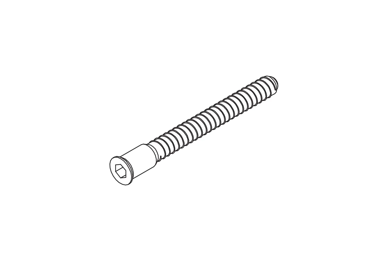 Ersatzteil M6x60 m.Innensechkant SW4