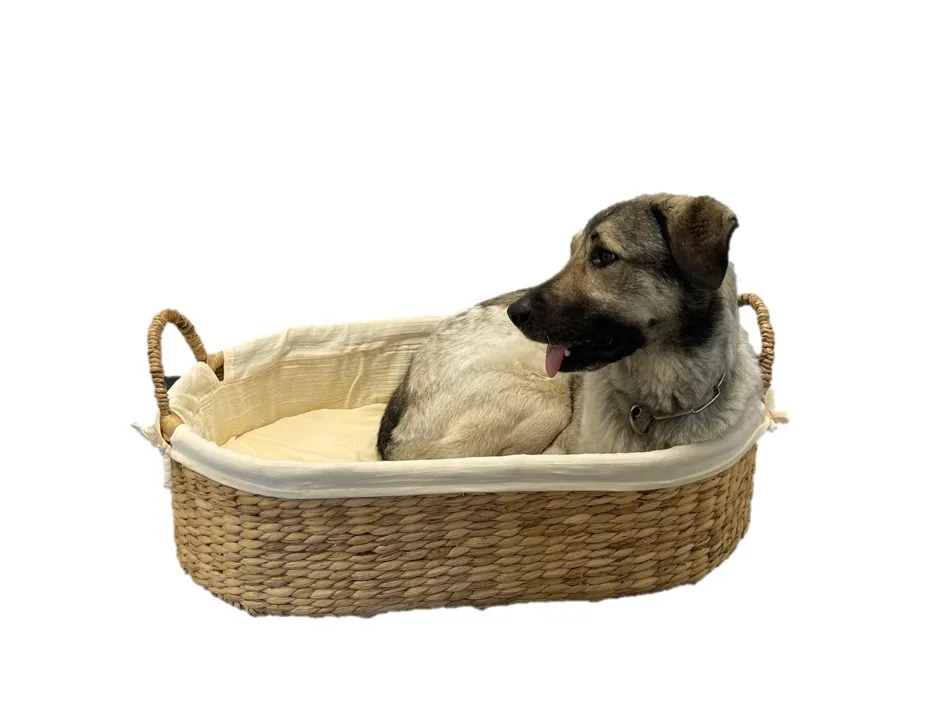 Hundekorb / Katzenkorb aus Wasserhyazinthe mit Bio-Baumwollbezug – Farbe Apricot