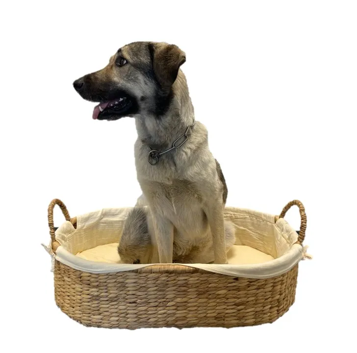 Hundekorb / Katzenkorb aus Wasserhyazinthe mit Bio-Baumwollbezug – Farbe Apricot